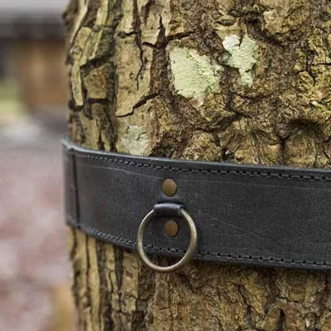 Epic Armoury Belt With Rings, Black 2 Epic Armoury Belt With Rings, Black - Image 2