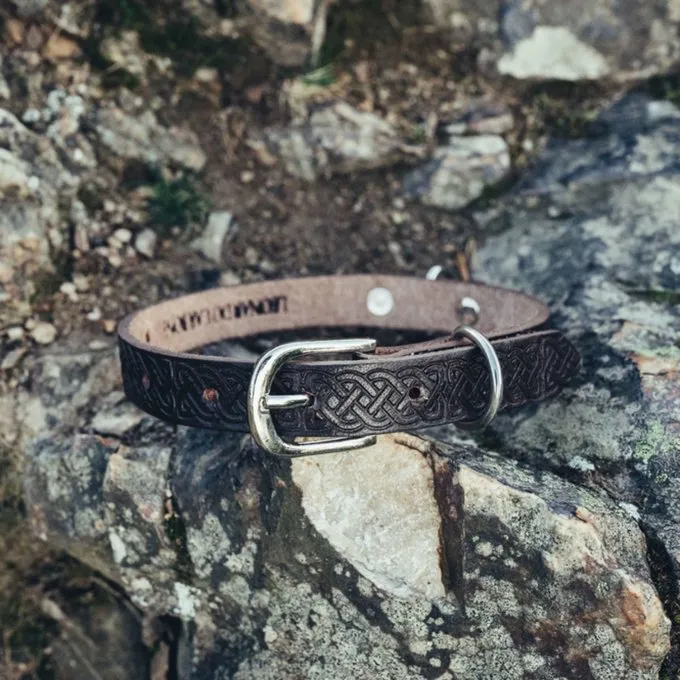 Leonardo Carbone Celtic Dog Collar, Brown 2 Leonardo Carbone Celtic Dog Collar, Brown - Image 2