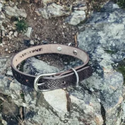 Leonardo Carbone Celtic Dog Collar, Brown
