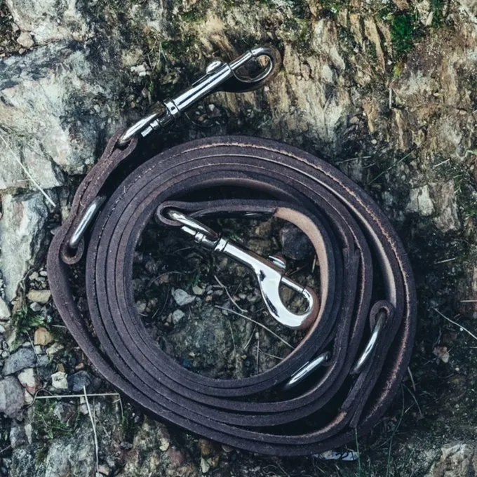 Leonardo Carbone Celtic Dog Leash, Brown 1 Leonardo Carbone Celtic Dog Leash, Brown