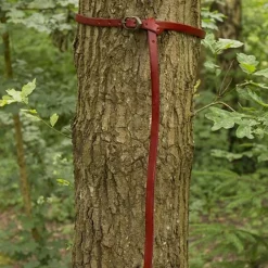 Epic Armoury Renaissance Belt Ambrose, Red -Medieval Clothing Sales Store renaissance belt ambrose red 1