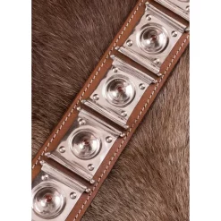 Deepeeka Roman Balteus Rheingonheim With Enamel -Medieval Clothing Sales Store roman balteus rheingonheim with enamel 2