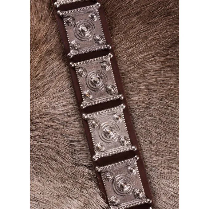 Deepeeka Roman Cingulum Mainz 3 Deepeeka Roman Cingulum Mainz - Image 3