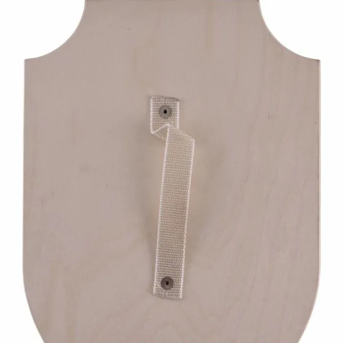 Toy Knight Shield For Painting 2 Toy Knight Shield For Painting - Image 2