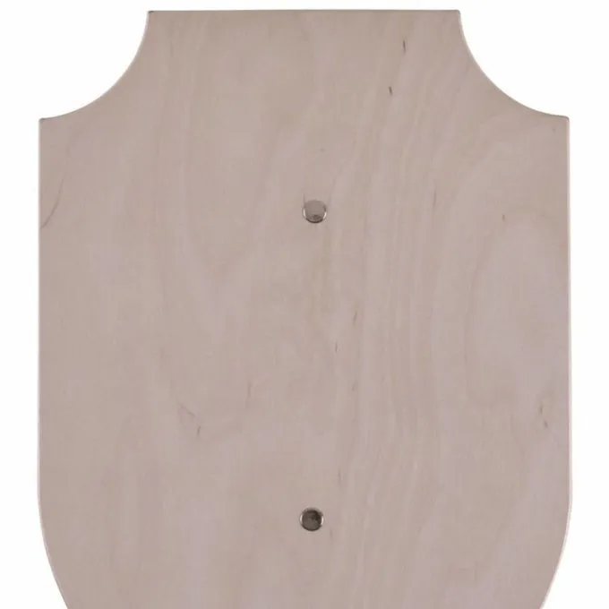 Toy Knight Shield For Painting 1 Toy Knight Shield For Painting